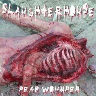 Slaughterhouse (PL) : Dead Wounded